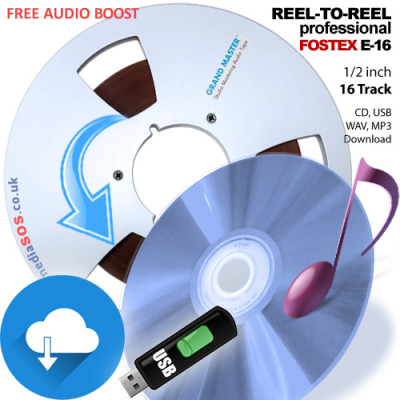 Reel-to-Reel Tape Conversion (16 track - 1/2inch tape)