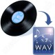 Vinyl to WAV Disc (vinyl records)