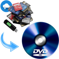 Memory Card, USB & Digital Link to DVD