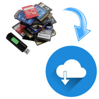 Memory Card & USB to Digital Link Download